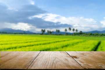 Green ear of rice in paddy rice field with table top can put or montage your products for display.