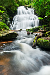 Obraz premium Waterfall in deep forest