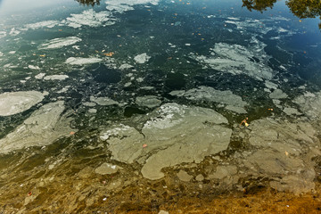 Dirty oil stains on the surface of the lake water polluted as a