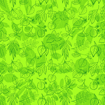Seamless Nature Background with Green Summer Tree Leaves Contours and Silhouettes, Willow, Hawthorn, Poplar, Aspen, Ginkgo Biloba, Elm, Alder, Linden, Rowan, Chestnut, Black Chokeberry, Beech. Vector