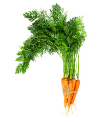 Bunch of fresh carrots isolated on white background.