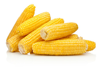 Corn on the cob kernels peeled isolated on white background