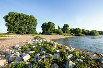 Beautiful landscape at River Rhine waterside