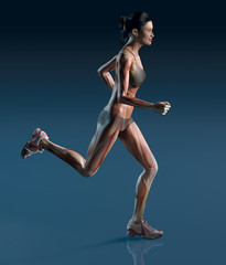 Running woman with musculatory © Axel Kock