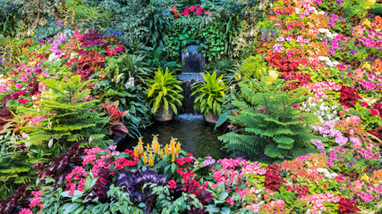 Obrazy na Szkle  Kolorowy wyświetlacz kwiatów w kanadyjskim ogrodzie