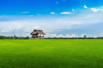 Obraz premium hut on lawn with blue sky and clouds