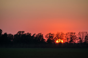 Fototapeta na wymiar Bright red sunset.
