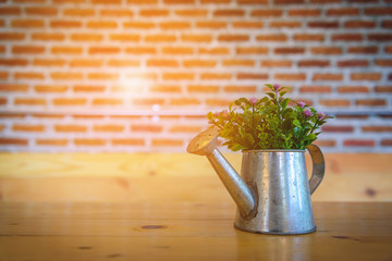 Flower pot on wooden table with blurred red brick wall.