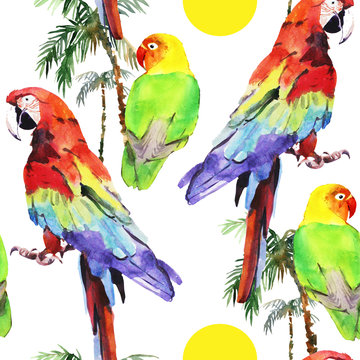 watercolor parrot lovebird