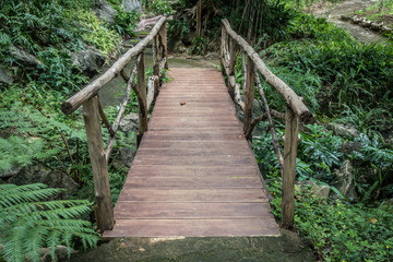 Small bridge in garden