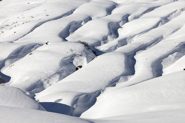 Fototapeta na wymiar Alpine in the snow