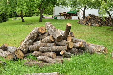 Pile of cut logs on a house lawn