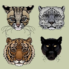 Big Cats portrait image set for postcards, cards, illustration and other design and decoration needs.