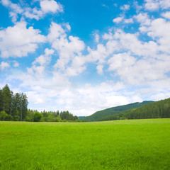 Nature landscape background with grass, meadow and blue sky