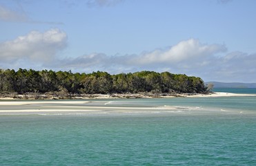 Fraser Island shoreline near Moon Point, Queensland Australia