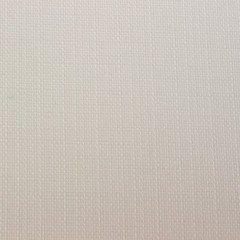 Canvas fabric texture