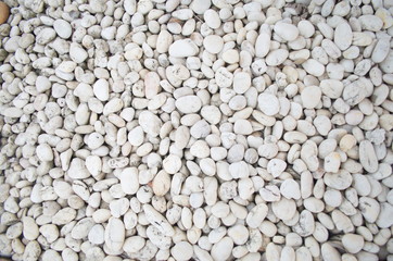 Natural gravel for aquarium decoration or landscaping.