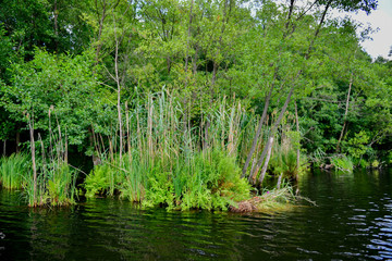 Obraz premium Seenlandschaft in Land Brandenburg