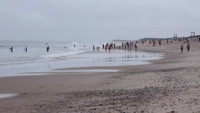 Summer Day on Cape Cod Beach