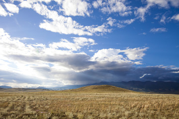 Fototapeta premium Kurai steppe. Altai republic nature