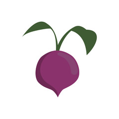 onion healthy food organic icon. Isolated and flat illustration