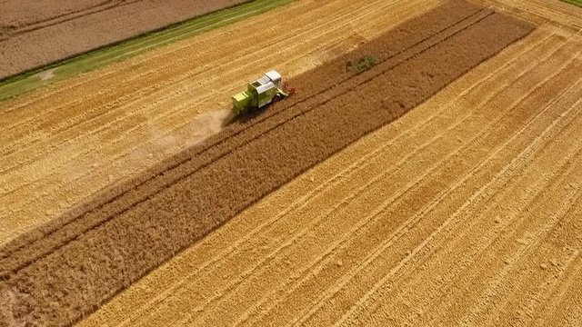 Combine harvester reaping a wheat field - aerial view