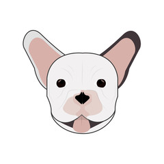 flat design french bulldog icon vector illustration