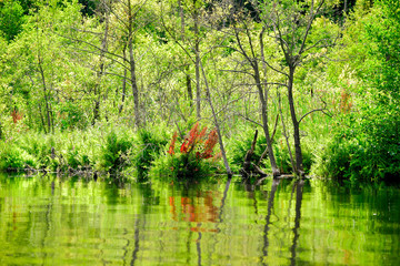 Fototapeta premium Seenlandschaft in Land Brandenburg