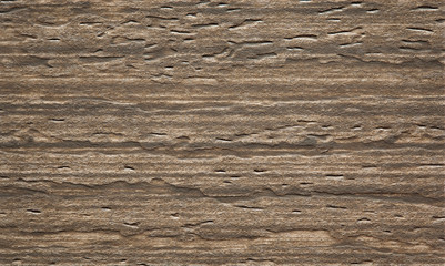 Naklejka premium Texture. Wooden texture - wood grain