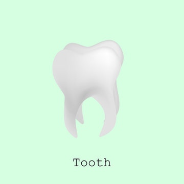Tooth for registration of dentistry. Vector isometric illustrati