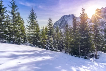 Papier Peint photo autocollant Hiver Sun rays over snowy alpine scene - Winter landscape where everything is covered in snow, the glades, the fir forest and the Austrian Alps peaks, but warmed up by a beautiful bright  sun.