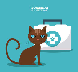 cat cartoon medical kit veterinarian pet clinic icon, vector illustration