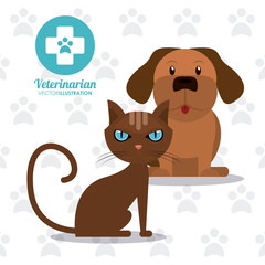 cat dog cartoon cross shape veterinarian pet clinic icon, vector illustration