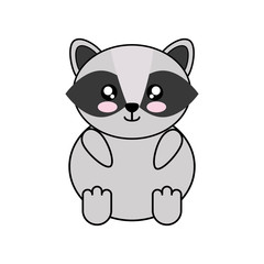 raccoon kawaii cute animal little icon. Isolated and flat illustration