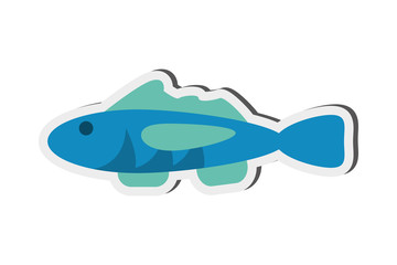 flat design single fish icon vector illustration