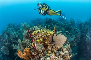 Rolgordijnen Belize Scuba Diving © Michael Bogner