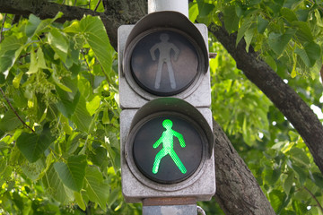 Green traffic signal hanging on wood background. Transport