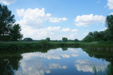 Obraz premium Lake, reeds, trees, blue sky, calm on a summer day