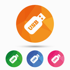 Usb Stick sign icon. Usb flash drive button.