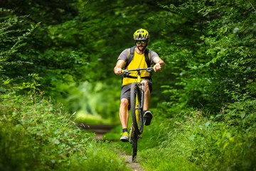 young mountain biker on single trail in green forest / Junger Mountainbiker auf singletrail im Wald
