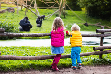 Kids watching animals at the zoo
