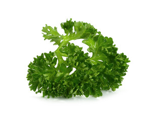 Obraz premium parsley isolated on a white background