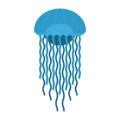 Tropic Jellyfish Illustration