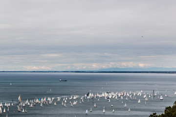 Barcolana regatta of Trieste