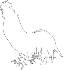 初鳴き鶏　シルエット　線