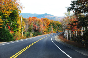 winding road in the autumn mountain forest in white mountain