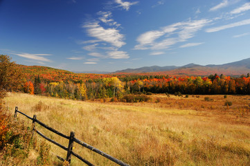 Fototapeta premium autumn pasture in colorful mountain and forest