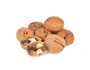 Walnut  on white background.