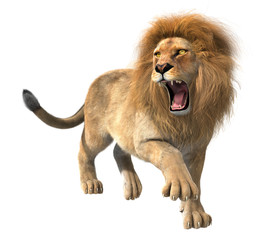 Naklejka premium 3D ilustracja cg ryczącego lwa na białym tle