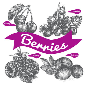 Vector illustration black and white set with berries.